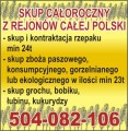 Kupujemy zboża 2011/2012 - owies
