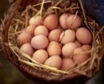 Jajka z wolnego wybiegu - SIEMIATYCZE