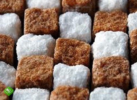 Cukier trzcinowy icumsa 45 - 510 USD -CIF