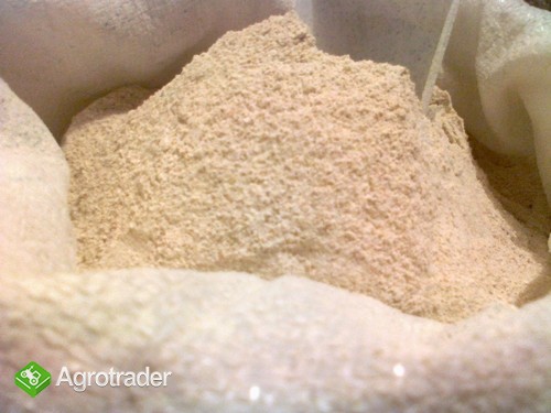 Mąka orkiszowa  Orkisz Schwabenkorn ,Łuska orkiszowa - zdjęcie 1