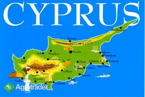 Zatrudnimy Pracowników na Cyprze