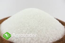 Brązowy czysty rafinowany cukier w proszku i kostki