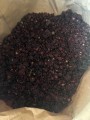 Jeżyna (blackberry) mrożona Brix 10. Out Sort (jagoda przemysłowa) 