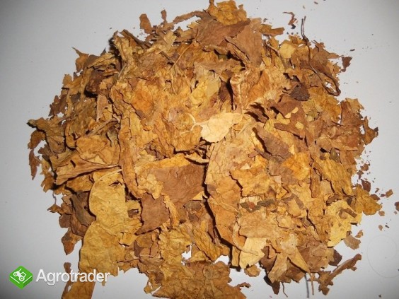 STRIPS BUŁGARSKI HURT SOSY AROMAT - zdjęcie 1