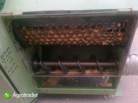 RĘBAK ACKERMANN - zdjęcie 1