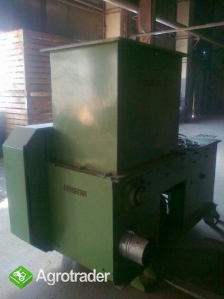 RĘBAK ACKERMANN - zdjęcie 2