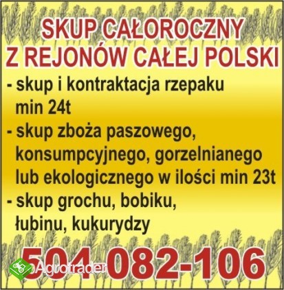 Kupujemy zboża 2011/2012 - owies