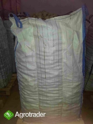 Sprzedam ziemniaka Agata - zdjęcie 1