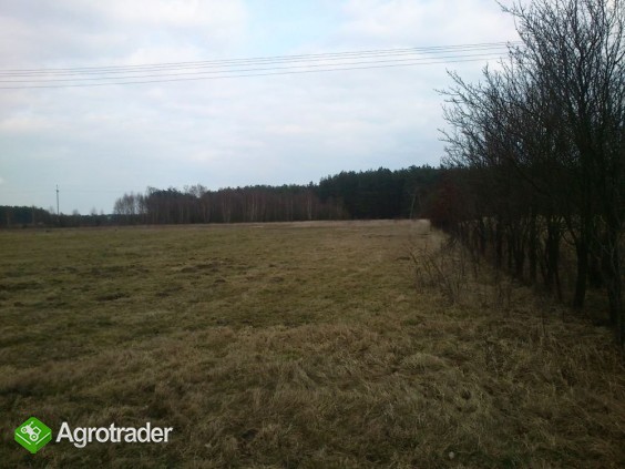 Sprzedam grunt rolny gm. Gomunice 3,32ha - zdjęcie 3