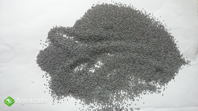 Sprzedam mak niebieski premium