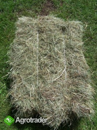 Siano w kostkach 2014 DUŻE ILOŚCI