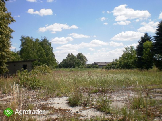 ŻARNOWIEC ŚLĄSKI sprzedam 11 ha - zdjęcie 2