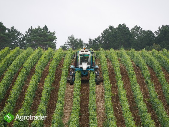 Wsparcie dla rolnictwa - zdjęcie 1