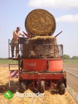 Ściółkowanie truskawek