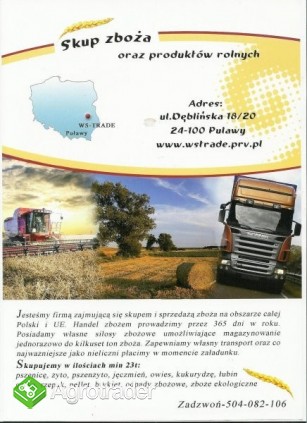 kupię kukurydzę - zdjęcie 1